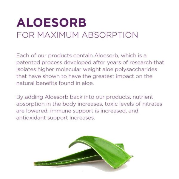 Vista trasera envase jugo aloe vera Lily Of The Desert