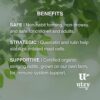 Vista trasera suplemento Utzy Naturals Allurtica