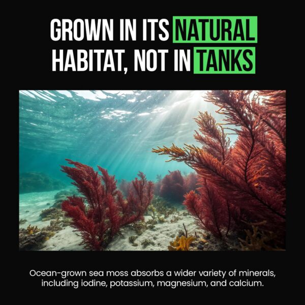 Version 1.0.0 Presentación de 120 cápsulas VitaRaw