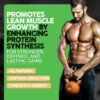 Version 1.0.0 tabla nutricional suplemento muscle sculptor vital alchemy