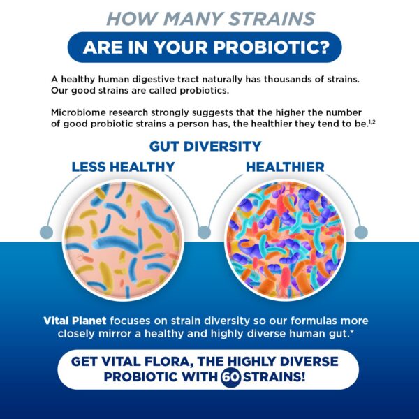 Vital Flora cápsulas veganas para salud digestiva e inmunidad