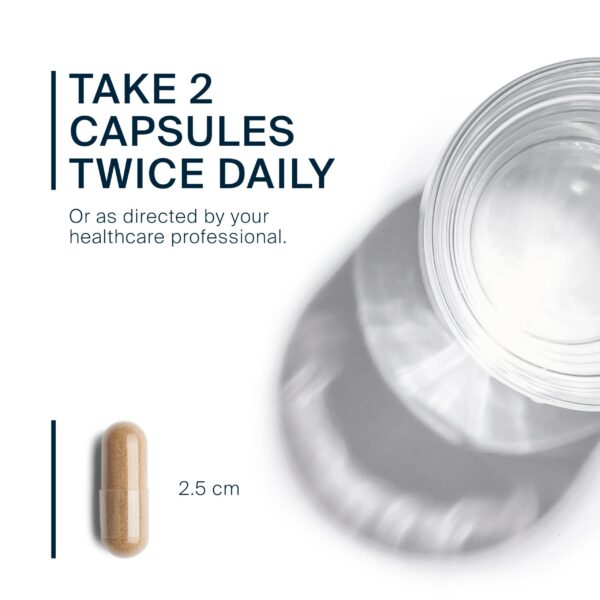 Version 1.0.0 Prueba de laboratorio y alérgenos verificados