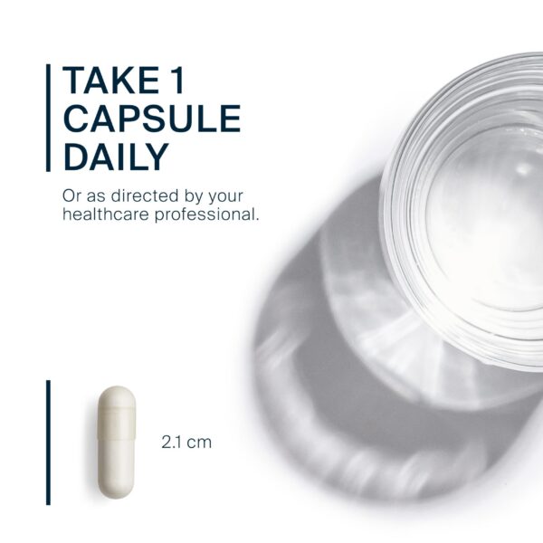 Caja de Vital Nutrients L-Theanine en visualización completa