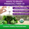 Vital Planet polvo Fiber 35 superalimentos, fibra y prebióticos