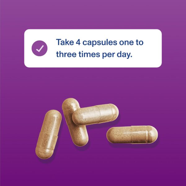 Capsulas alineadas sobre fondo blanco