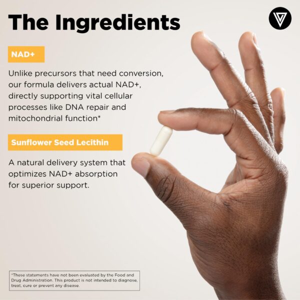 Vital Vitamins Multi Colágeno NAD+ caja trasera