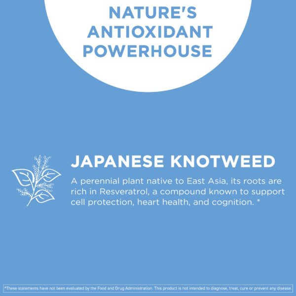 Version 1.0.0 Cápsulas y etiqueta Vital Vitamins