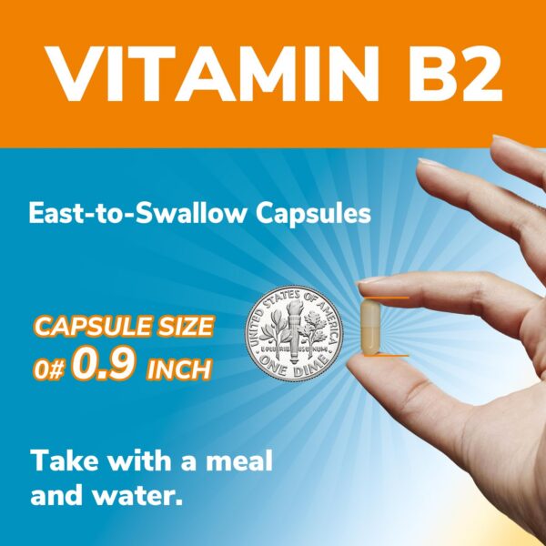 Empaque y etiqueta de información