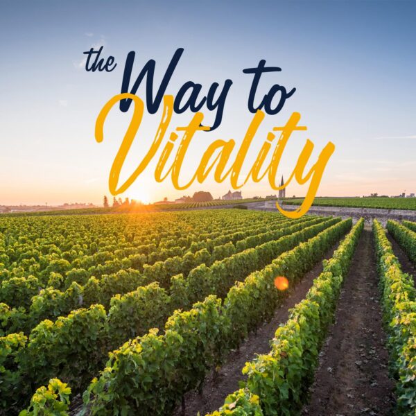 Vitalitown cápsulas Moringa para energía e inmunidad natural