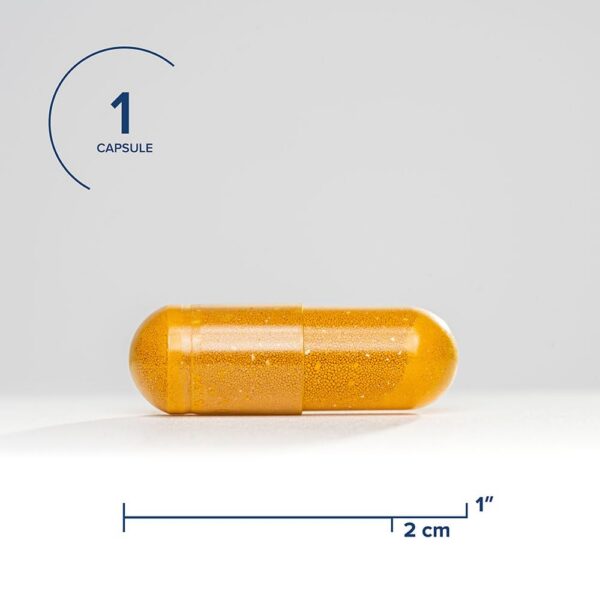 Vitamina B2 riboflavina cápsulas vegetarianas 60 unidades Seeking Health