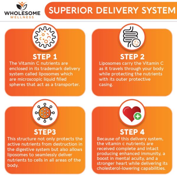 Vitamina C liposomal Wholesome Wellness para colágeno y antioxidante