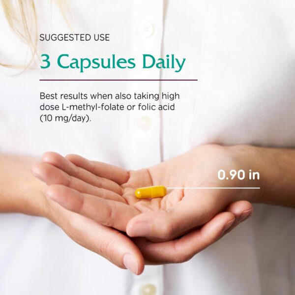 Empaque y marca Vitanica