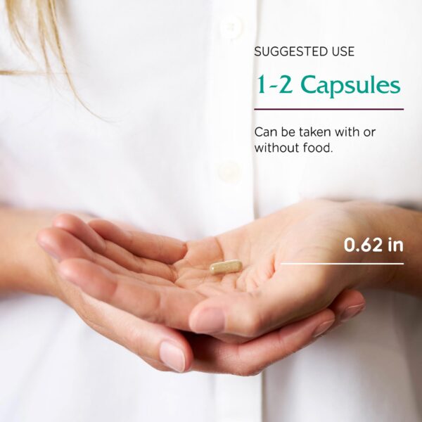 Información nutricional Black Cohosh Vitanica 120 cápsulas