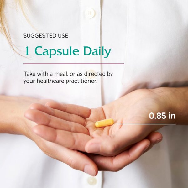 Etiqueta de ingredientes de CoQ10 Extra