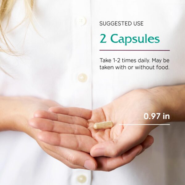 Version 1.0.0 Frasco con tapa blanca