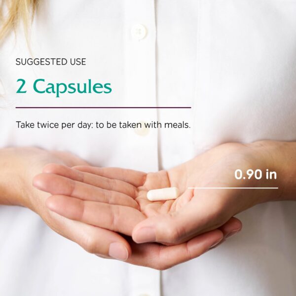 Interior de la caja OsteoBlend