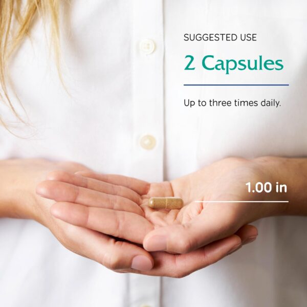 Vitanica OvaBlend suplemento hormonal con NAC y cromo