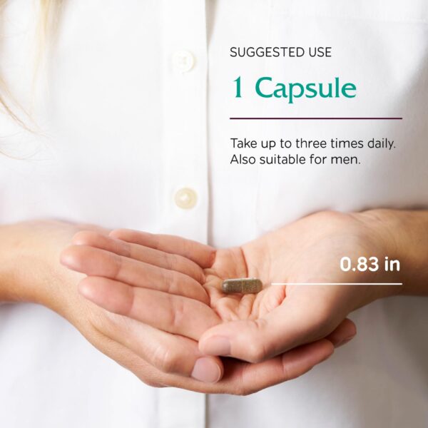 Vitanica suplemento vegano para ánimo cápsulas 90 unidades