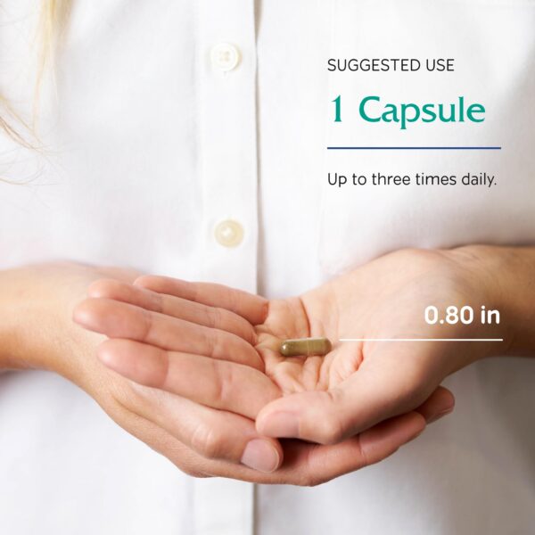 Parte trasera del frasco Vitanica Uplift con información