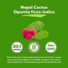 Cápsulas en mano suplemento Vitapia para salud y energía