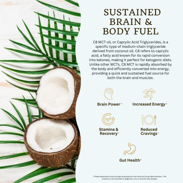 Version 1.0.0 Cajas y packaging de VitaTradingCo