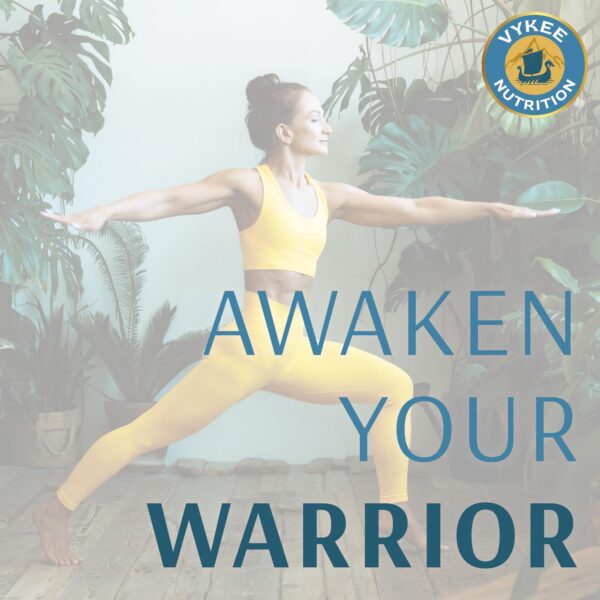 Version 1.0.0 Etiqueta de seguridad Vykee D3 K2