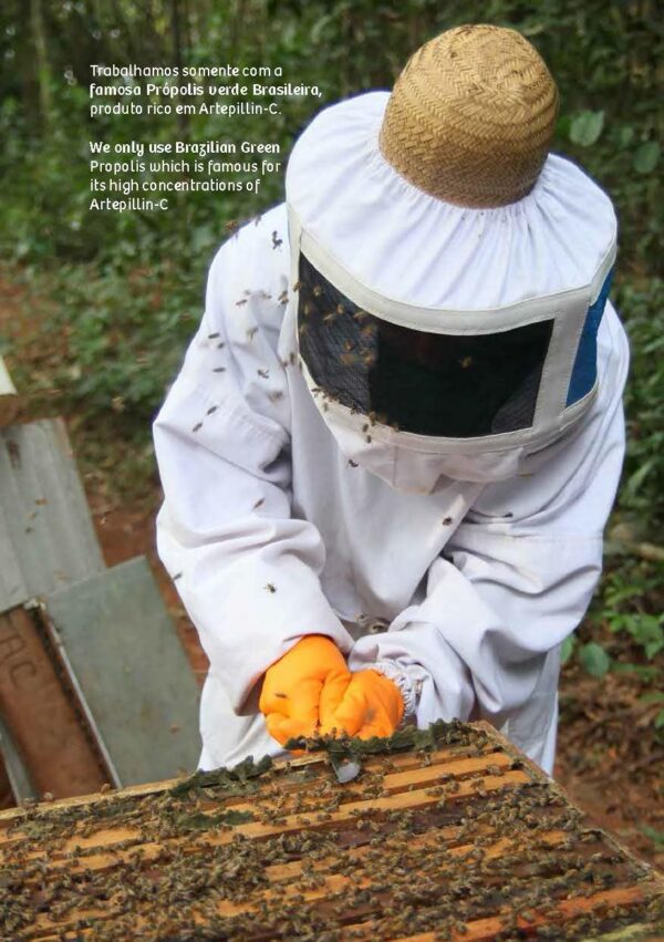 Empaque con sello y etiqueta lateral