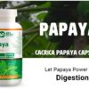 Empaque pack de 2 de WAY 4 ORGANIC W4O