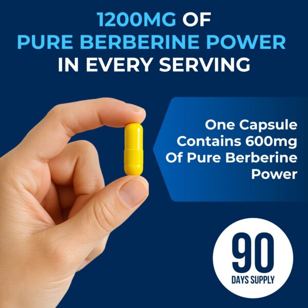 Version 1.0.0 Etiqueta posterior de berberina