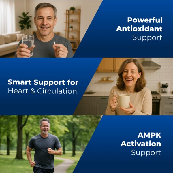 Version 1.0.0 Frasco con tapa de seguridad