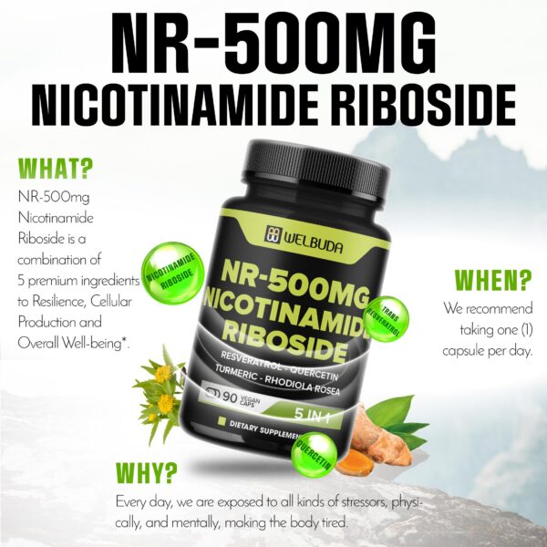 Etiqueta de ingredientes en la botella