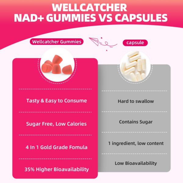 Interior de la caja NAD+