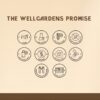 Wellgardens suplemento de hongos para rendimiento