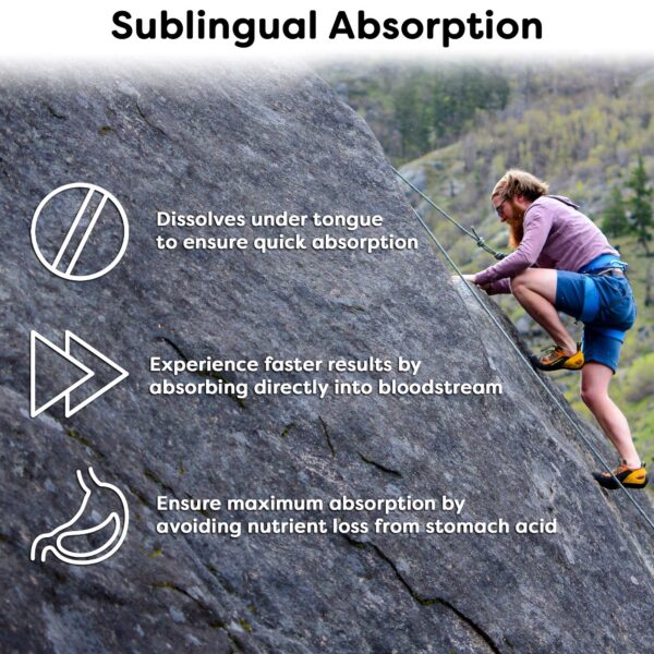 Capsulas Wellgenix vitamina b complejo sublingual 60 unidades