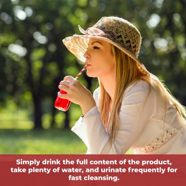 Version 1.0.0 Wellgenix Omni Detox bebida limpieza rápida sistema 16 onzas