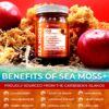 Sabor manzana canela Sea Moss Gel