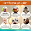 Usos versátiles Sea Moss Gel para batidos