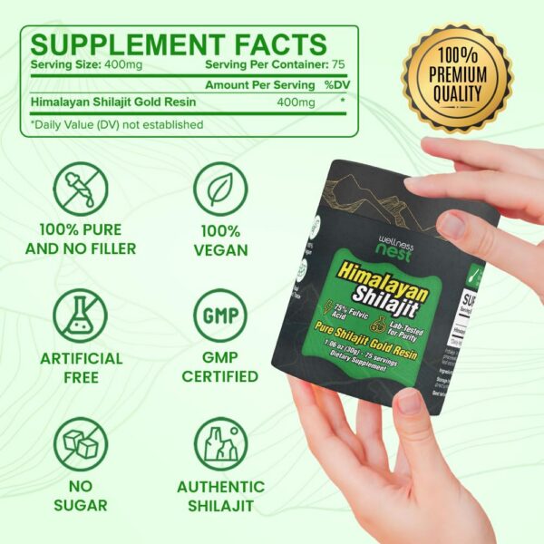 Logotipo de Wellness Nest