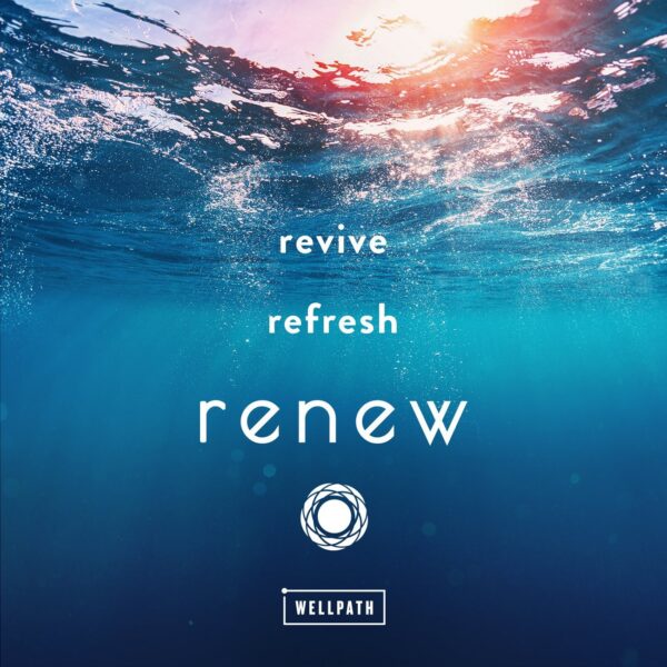 Version 1.0.0 Detalles nutricionales WellPath Renew proteína multi colágeno
