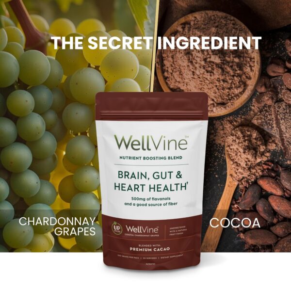 WellVine mezcla nutritiva polvo sin gluten y libre de alérgenos