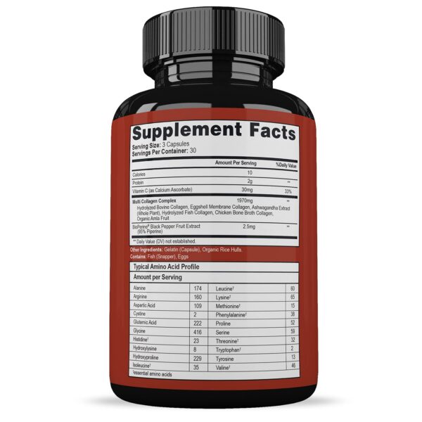 Logotipo Wholesome Wellness