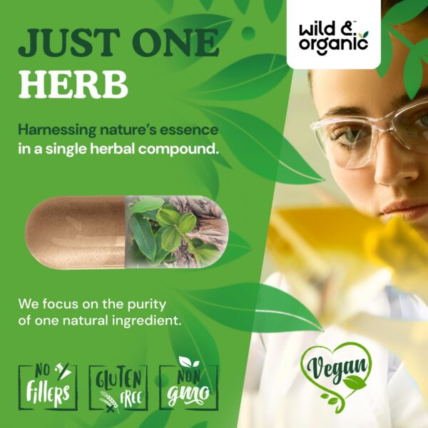 Wild & Organic cápsulas Arjuna suplemento natural cápsulas