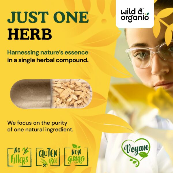 Suministro de cápsulas Wild & Organic Astrágalo para 90 días