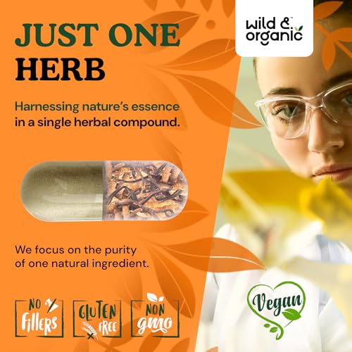 Version 1.0.0 Suplemento vegano Cordyceps sin rellenos