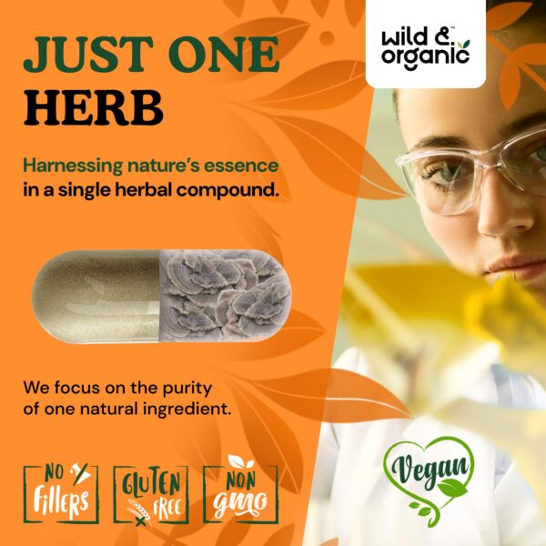 Wild & Organic Hongo Cola de Pavo sin OGM