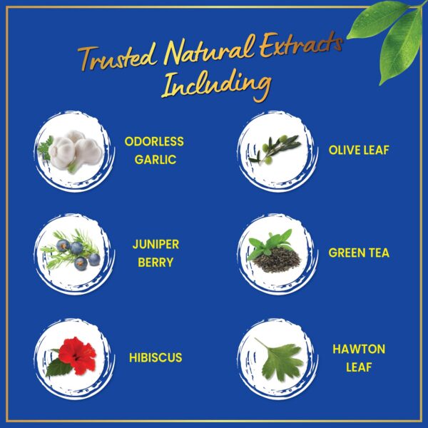 Vista lateral del envase