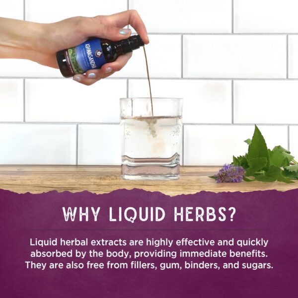 Version 1.0.0 Botella de activador inmune Kick-Ass con gotero