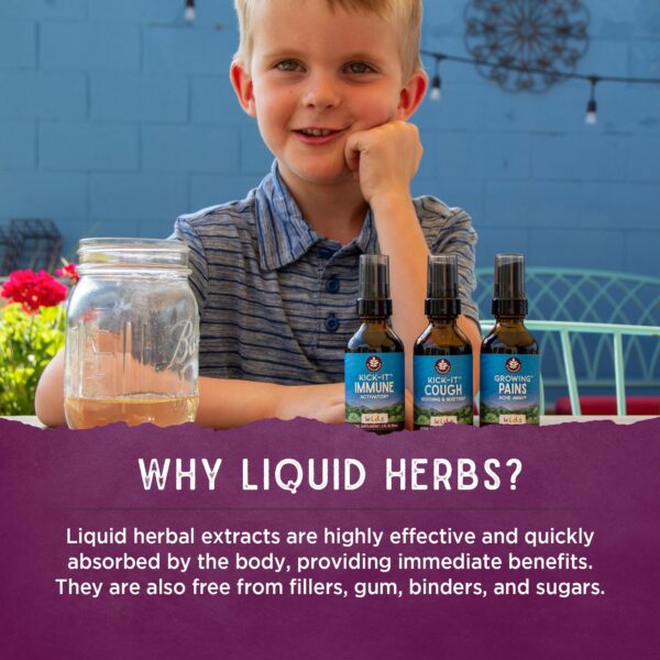 WishGarden hierbas orgánicas suplemento inmunológico niños