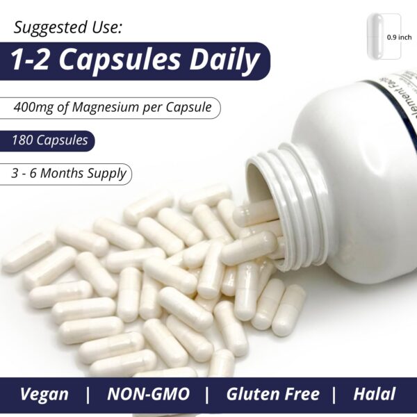 Calidad GMP y sin OGMs WOW Magnesium