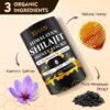 Muestra de 30 sticks de Shilajit